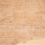 Counselling | Treaty of Waitangi